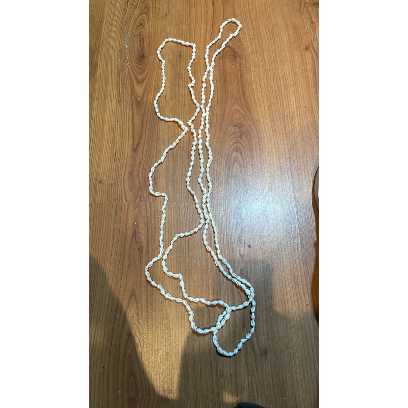 COLLAR LARGO CONCHAS